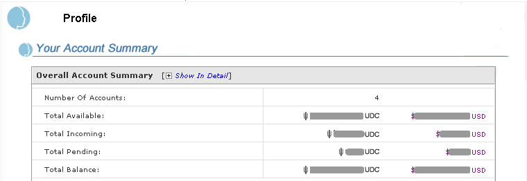 Bata Account Portfolio Summary